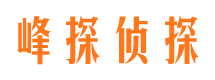 仪陇市侦探公司